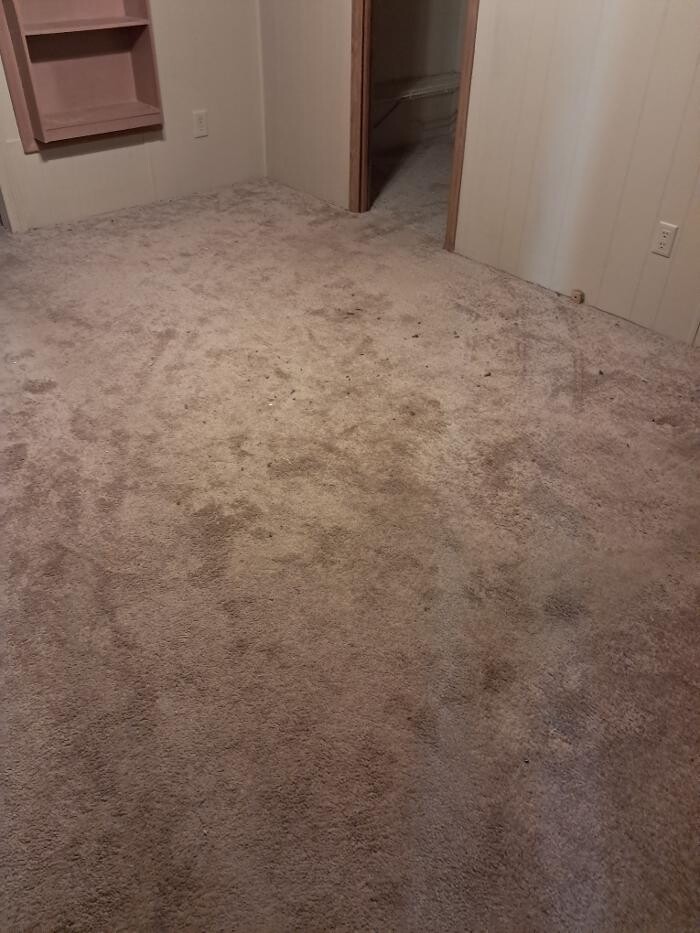 Images Swifty Bee Cleaning Services