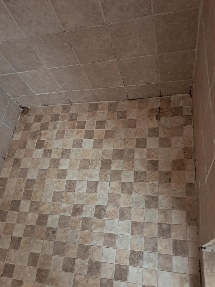 Images Swifty Bee Cleaning Services