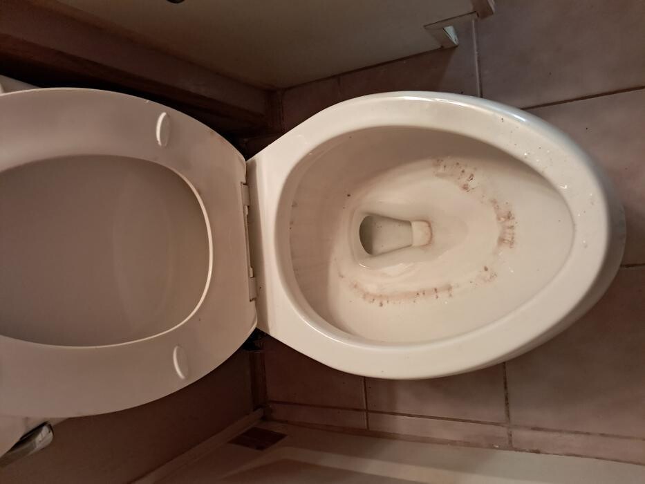 Images Swifty Bee Cleaning Services