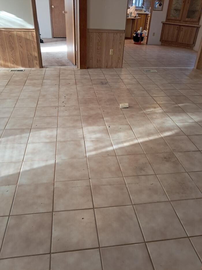 Images Swifty Bee Cleaning Services