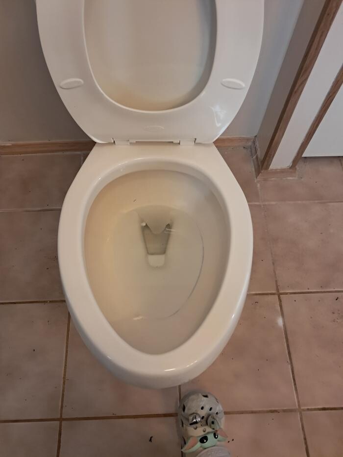 Images Swifty Bee Cleaning Services