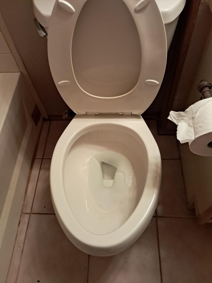 Images Swifty Bee Cleaning Services