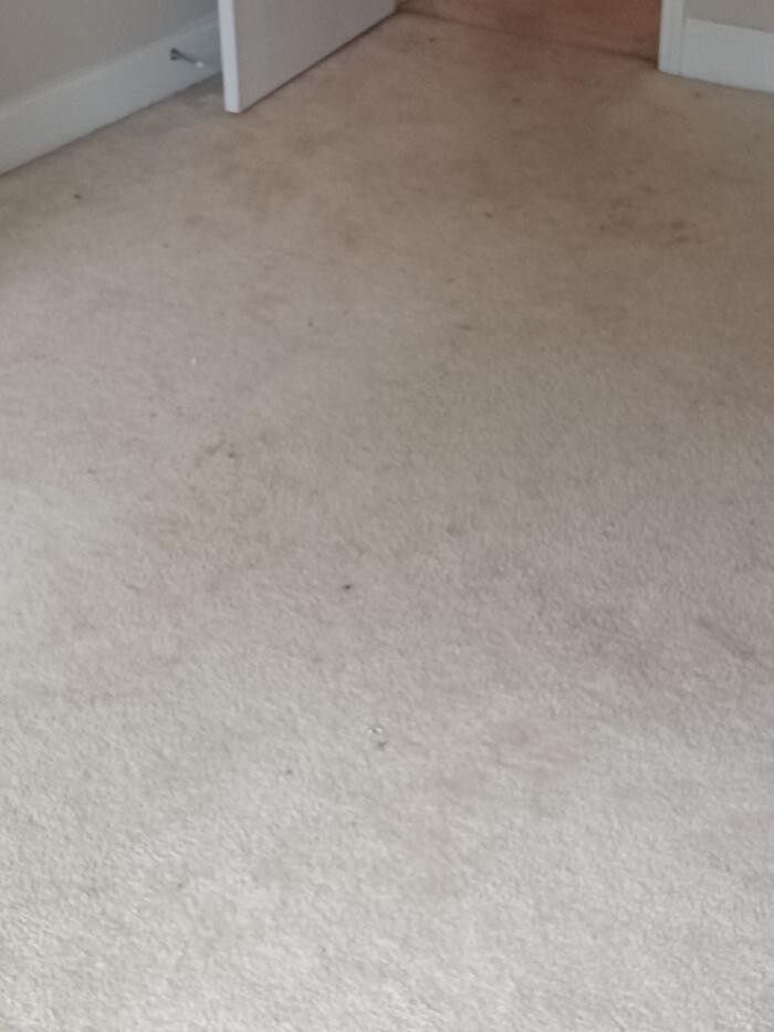 Images Swifty Bee Cleaning Services