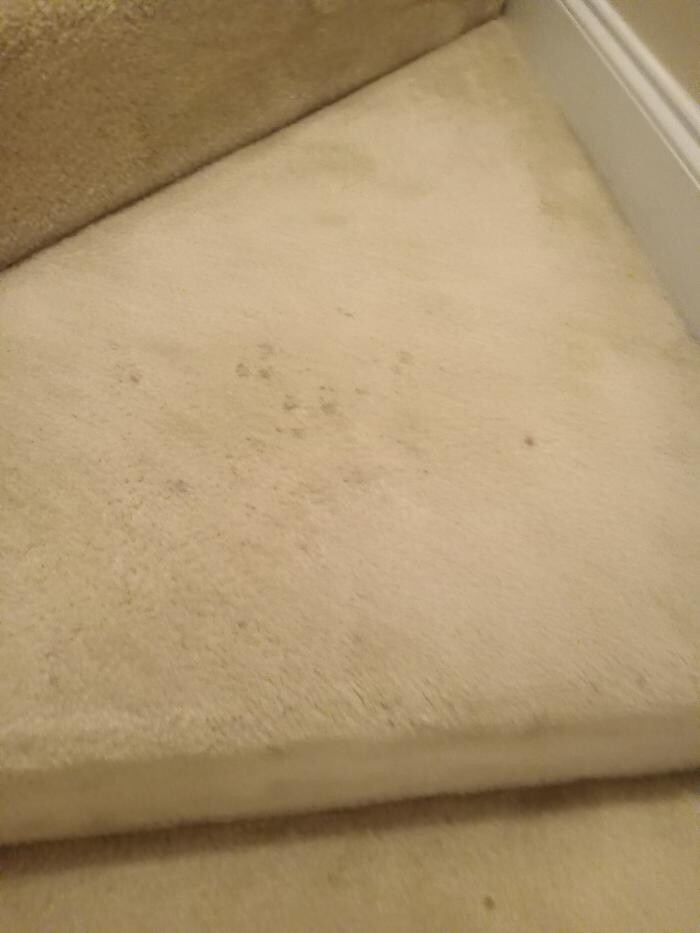 Images Swifty Bee Cleaning Services