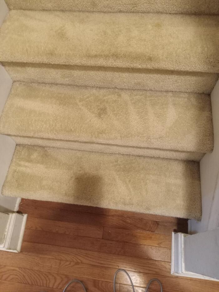 Images Swifty Bee Cleaning Services