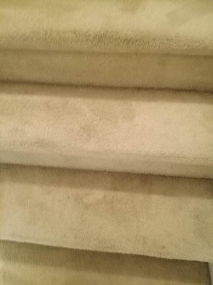 Images Swifty Bee Cleaning Services