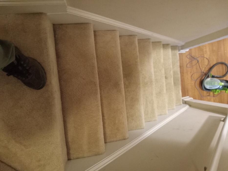 Images Swifty Bee Cleaning Services