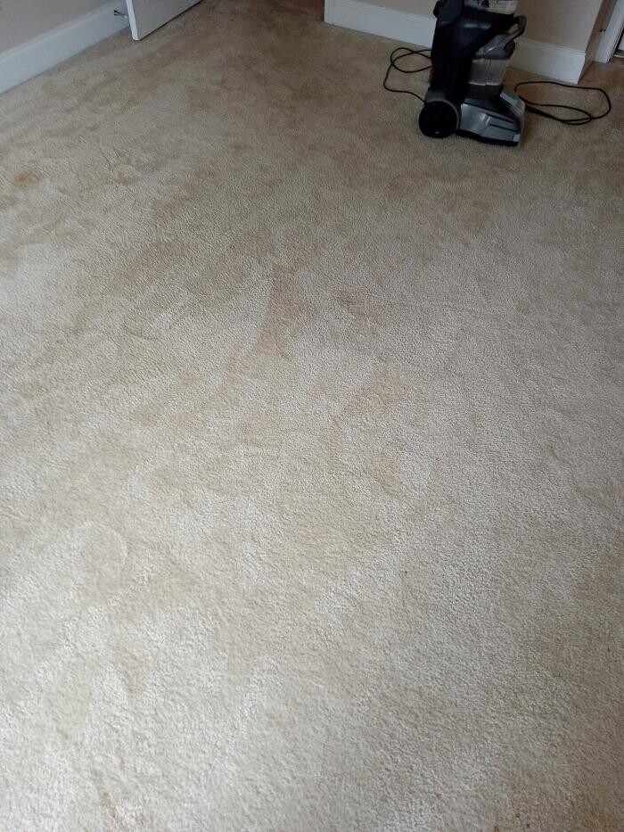 Images Swifty Bee Cleaning Services