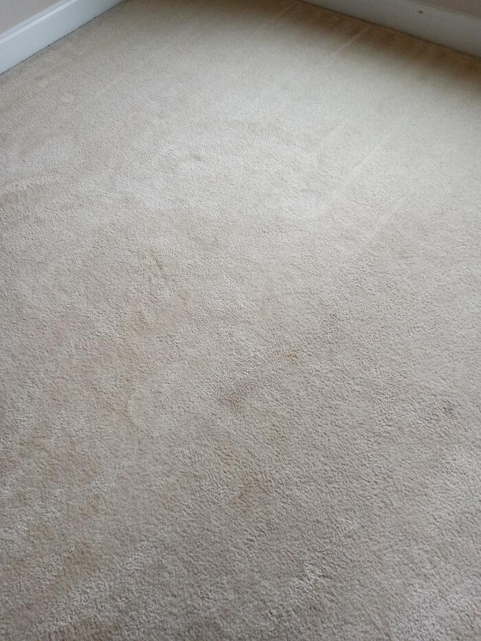 Images Swifty Bee Cleaning Services