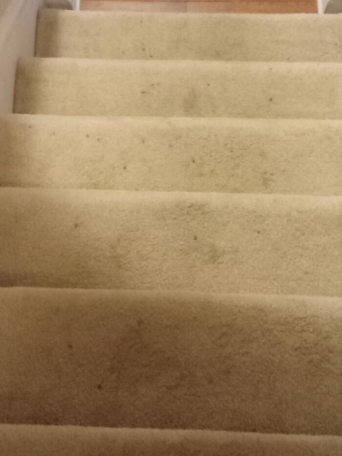 Images Swifty Bee Cleaning Services