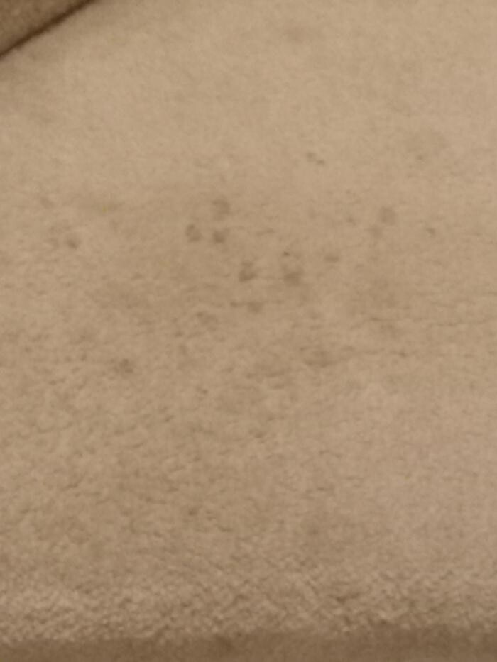 Images Swifty Bee Cleaning Services