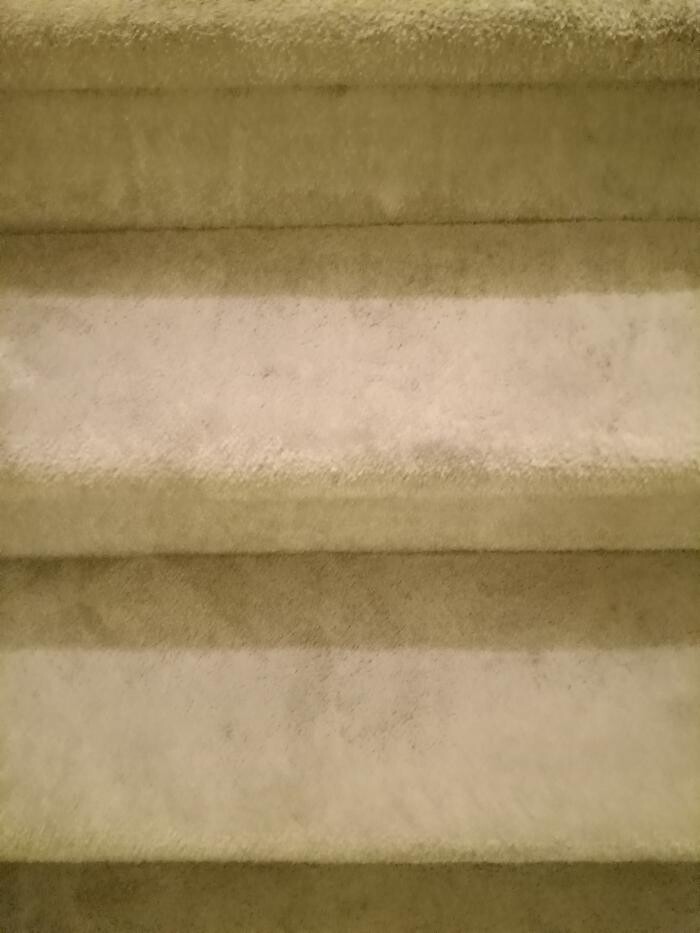 Images Swifty Bee Cleaning Services