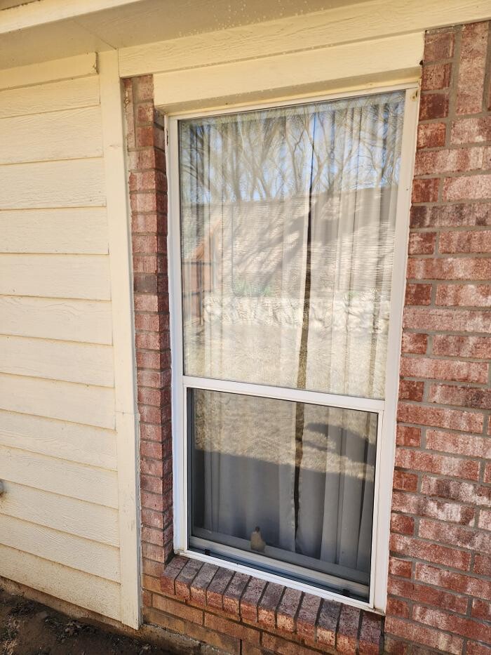 Images HomeSmiles Metro Houston