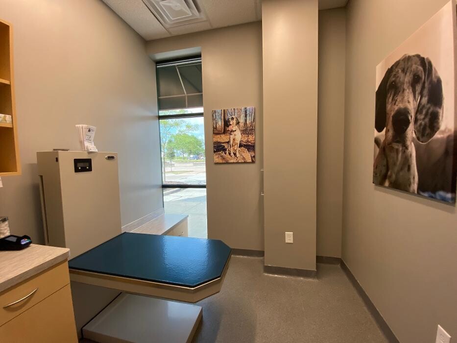 Images Springmill Pet Wellness Clinic