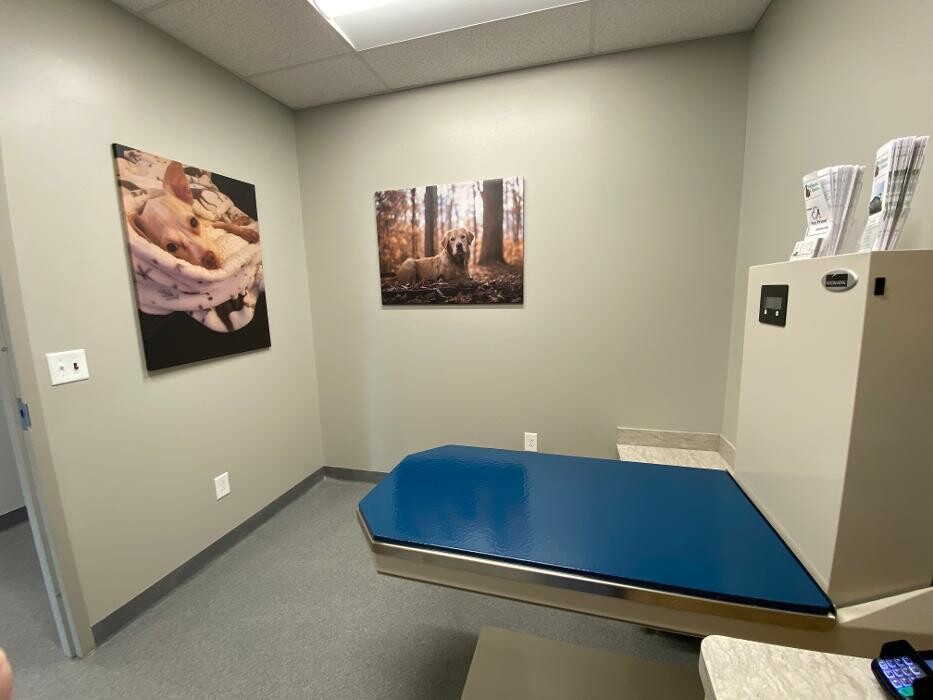 Images Springmill Pet Wellness Clinic