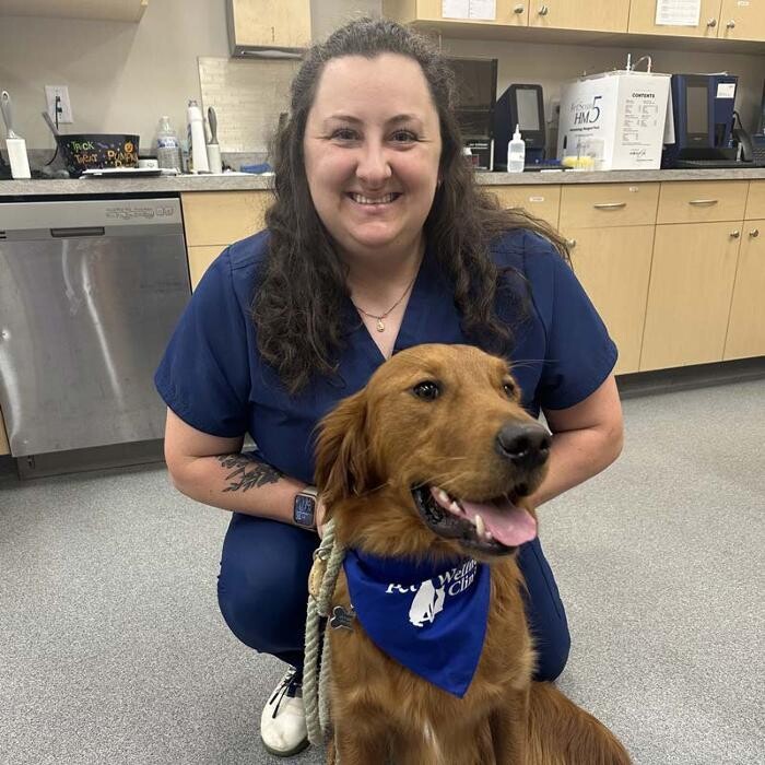 Images Springmill Pet Wellness Clinic