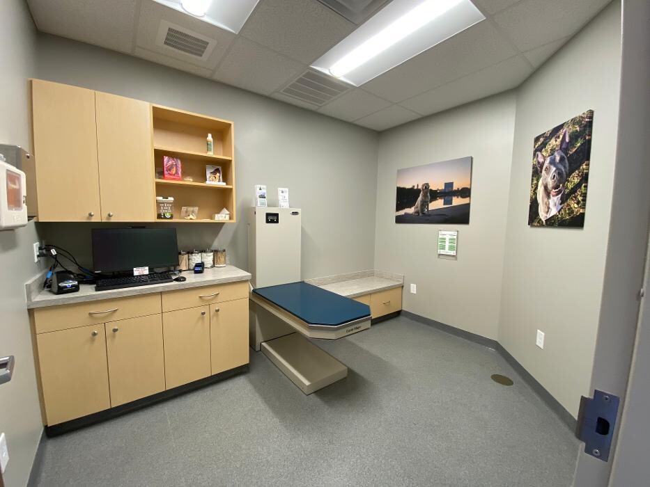Images Springmill Pet Wellness Clinic