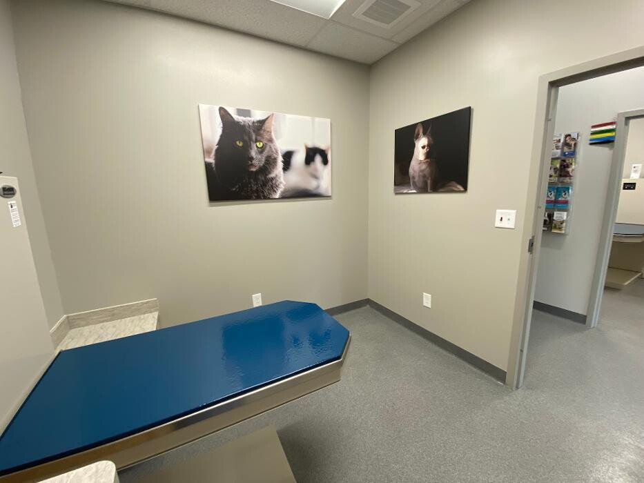 Images Springmill Pet Wellness Clinic