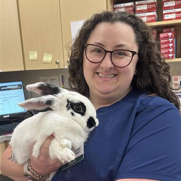 Images Springmill Pet Wellness Clinic