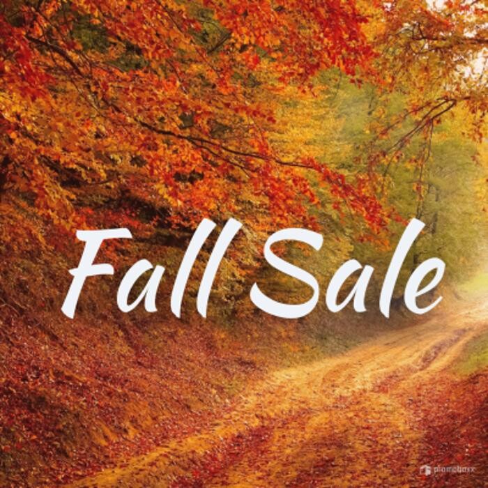 Images VIP Auto Enterprise - Used Car Dealer Orlando