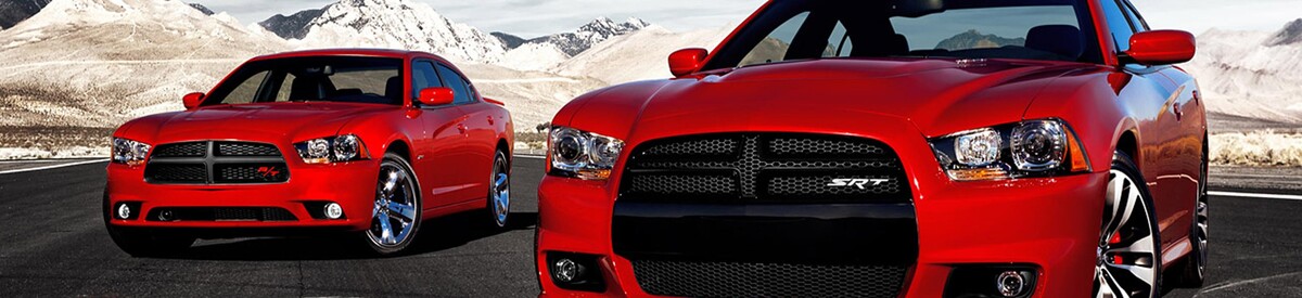 Images VIP Auto Enterprise - Used Car Dealer Orlando