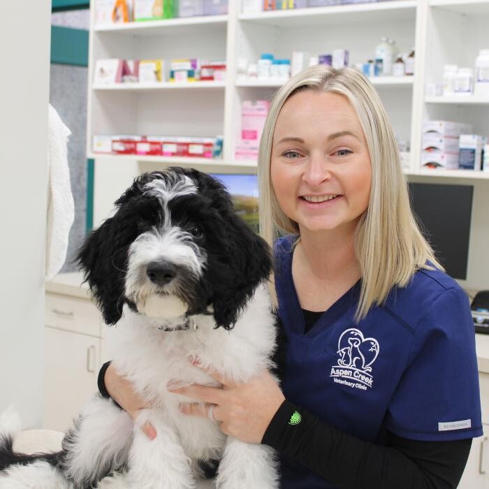 Images Aspen Creek Veterinary Clinic