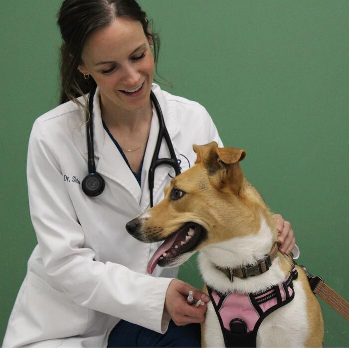 Images Aspen Creek Veterinary Clinic