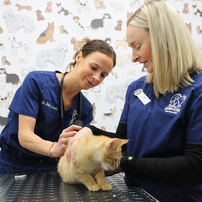 Images Aspen Creek Veterinary Clinic