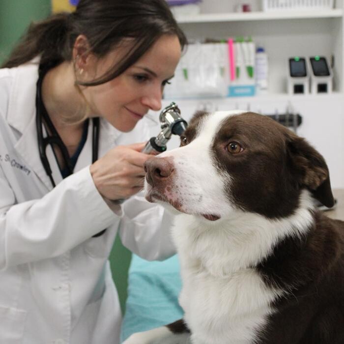 Images Aspen Creek Veterinary Clinic