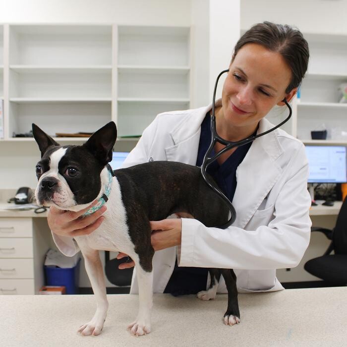 Images Aspen Creek Veterinary Clinic