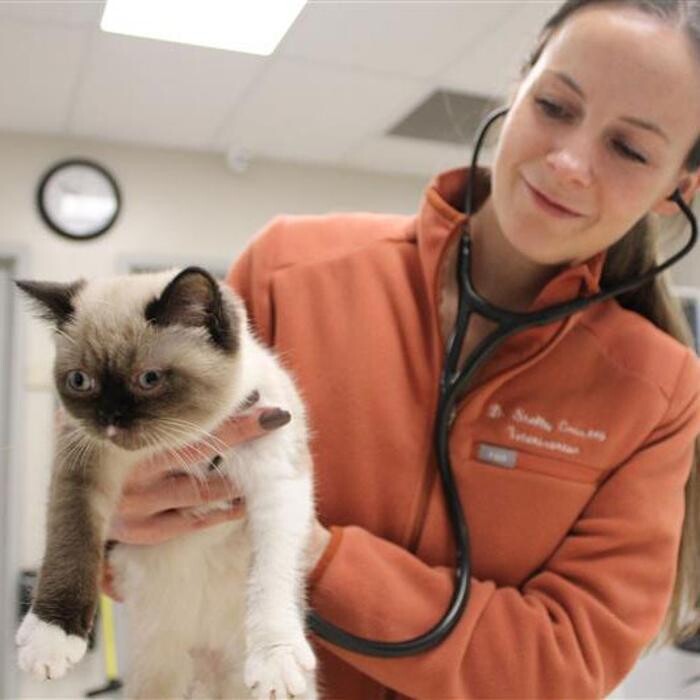 Images Aspen Creek Veterinary Clinic