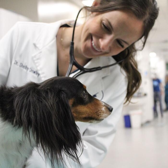 Images Aspen Creek Veterinary Clinic