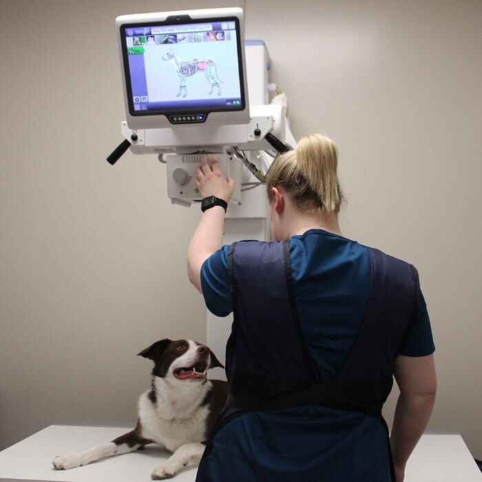 Images Aspen Creek Veterinary Clinic