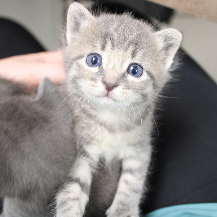 Images Aspen Creek Veterinary Clinic
