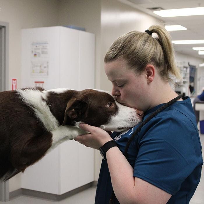 Images Aspen Creek Veterinary Clinic