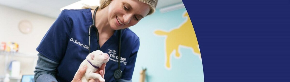 Images The Ridge Veterinary Clinic