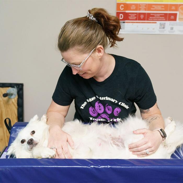 Images The Ridge Veterinary Clinic