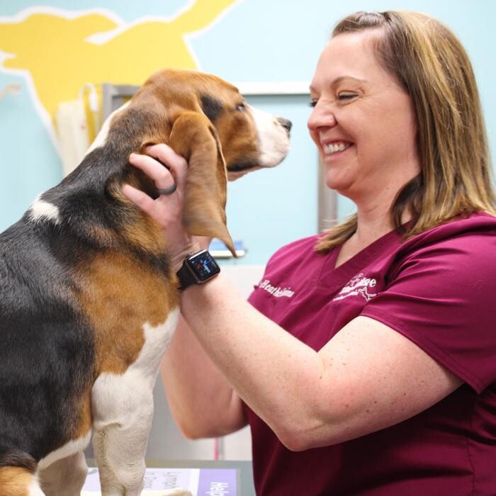 Images The Ridge Veterinary Clinic