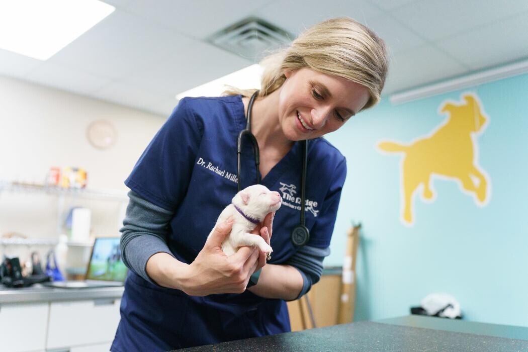 Images The Ridge Veterinary Clinic