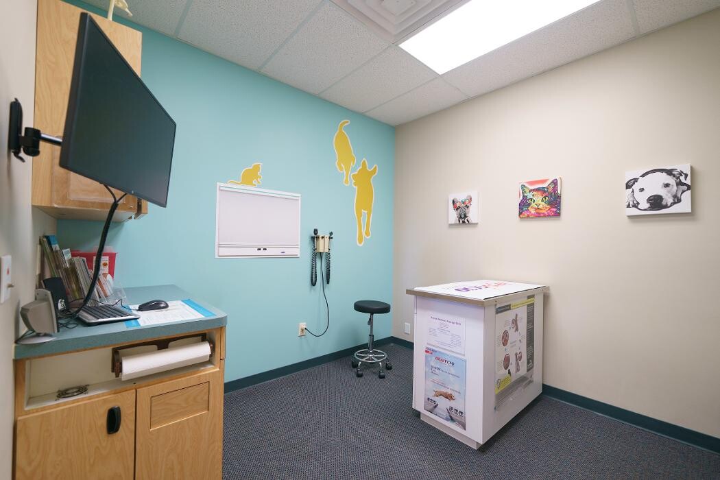 Images The Ridge Veterinary Clinic