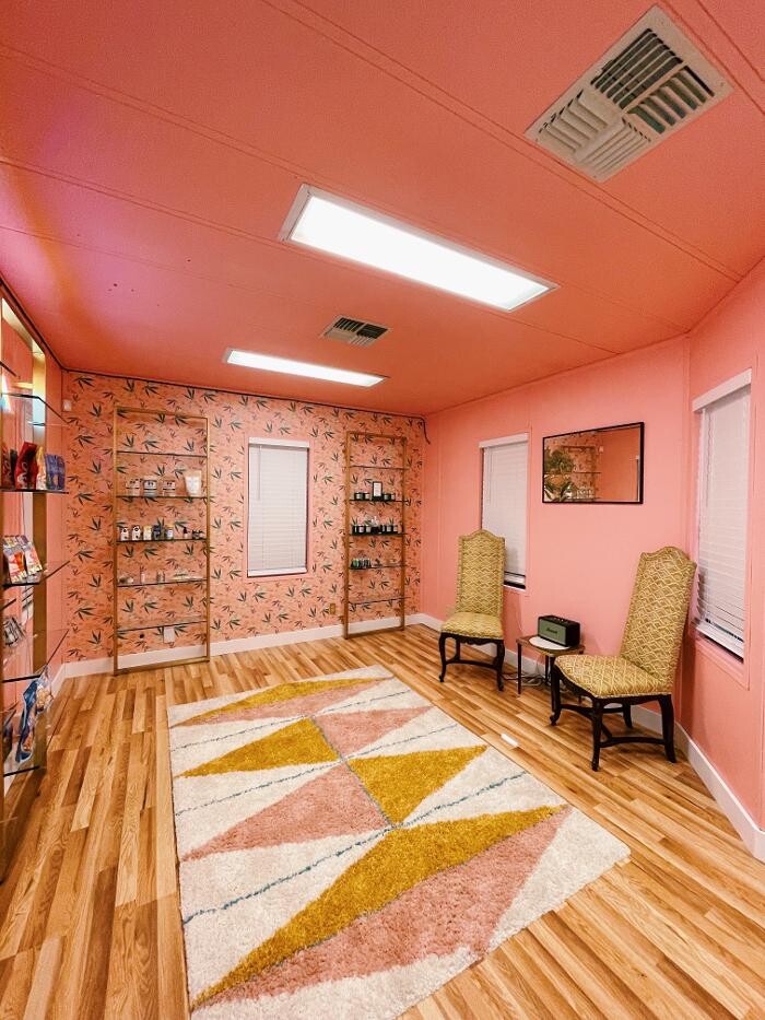 Images The Happy Cactus