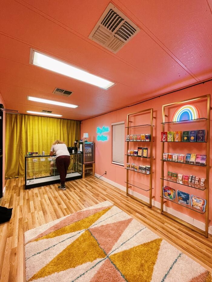 Images The Happy Cactus