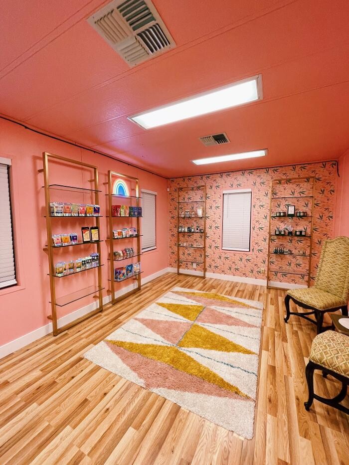 Images The Happy Cactus