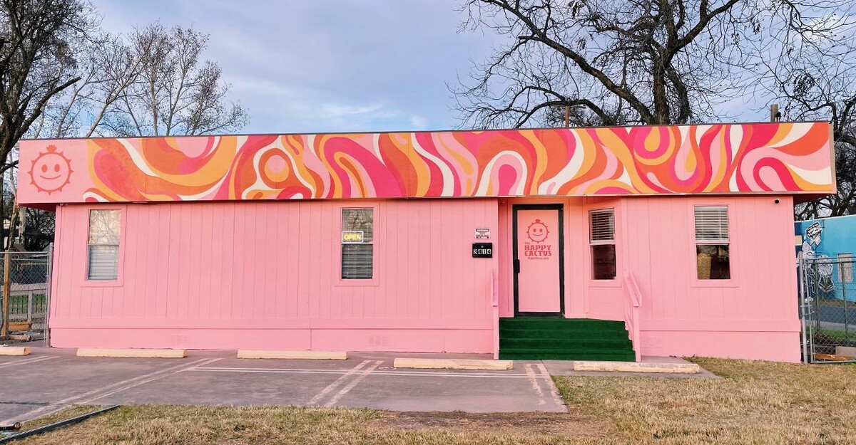 Images The Happy Cactus