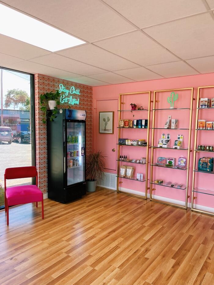 Images The Happy Cactus