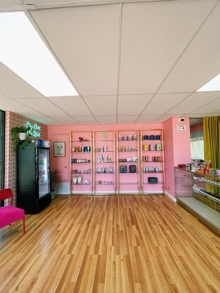 Images The Happy Cactus