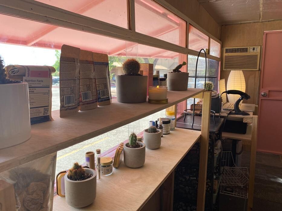 Images The Happy Cactus