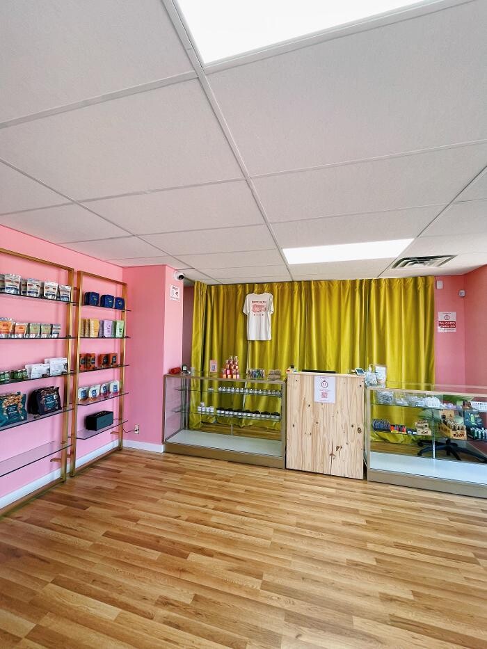 Images The Happy Cactus