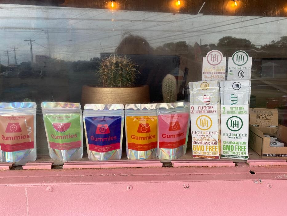 Images The Happy Cactus