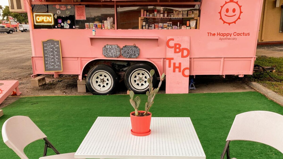 Images The Happy Cactus